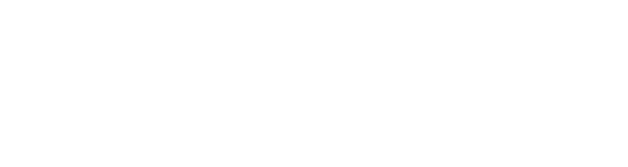 RepVera